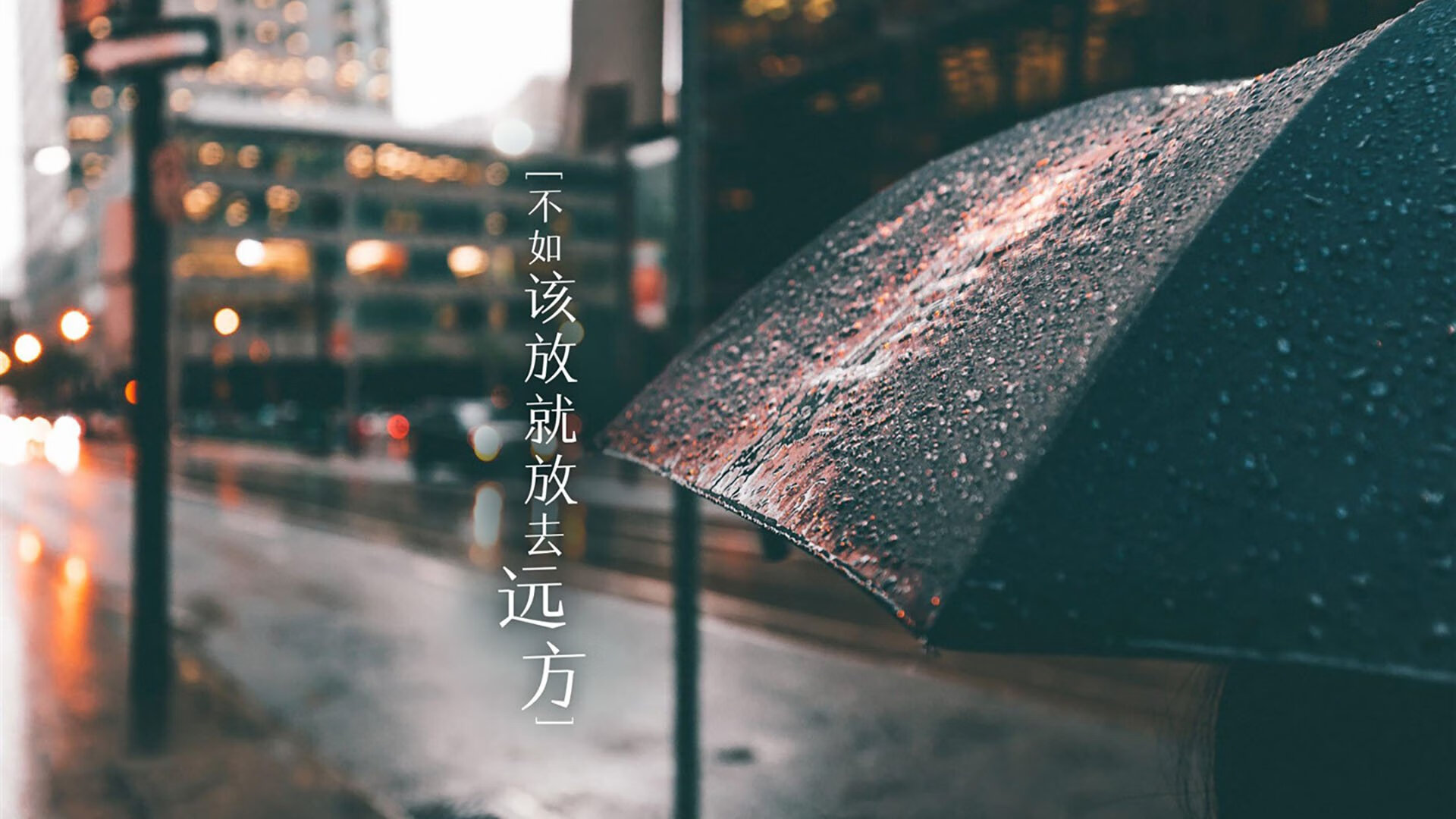 WRC多车追逐战：激烈的超车瞬间
