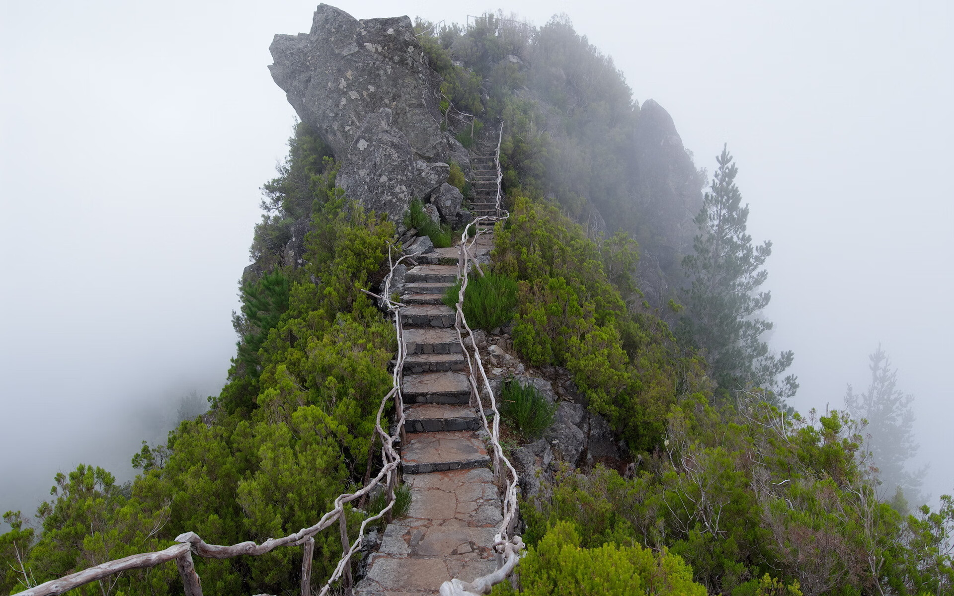 WRC巴西站：雨林中的泥泞PK赛，巴西经典比赛